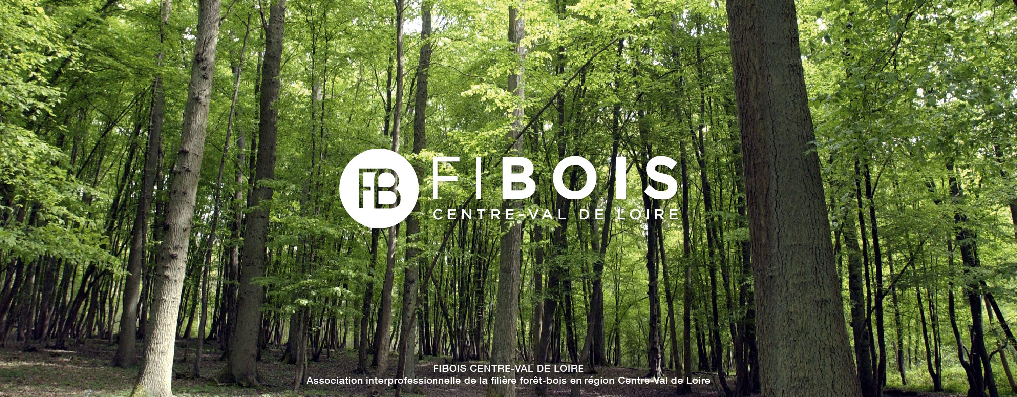 FIBOIS CVL - Slider